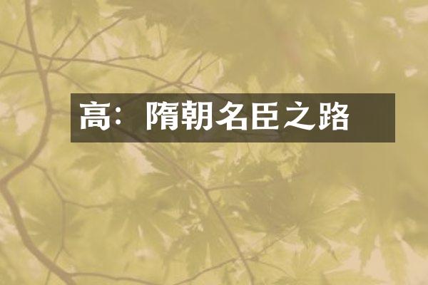 高颎：隋朝名臣之路