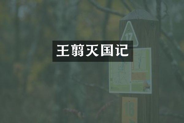 王翦灭国记
