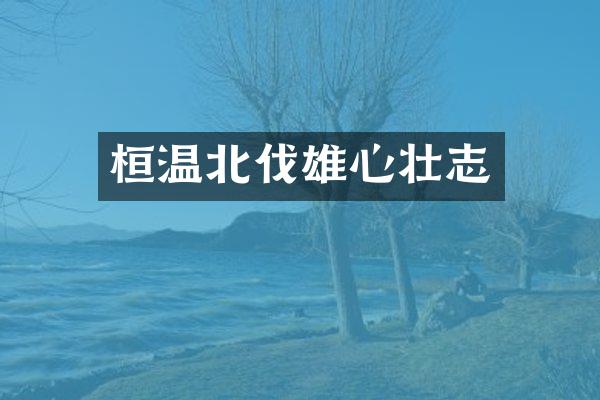 桓温北伐雄心壮志