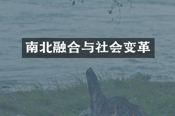 南北融合与社会变革