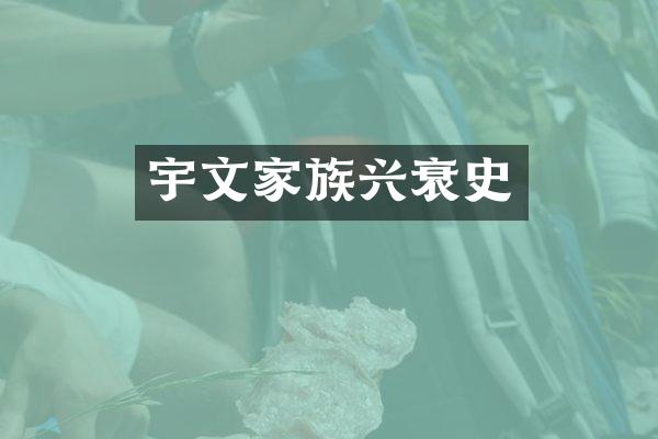 宇文家族兴衰史
