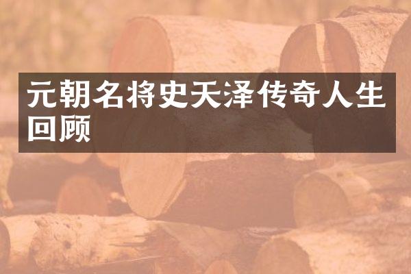 元朝名将史天泽传奇人生回顾