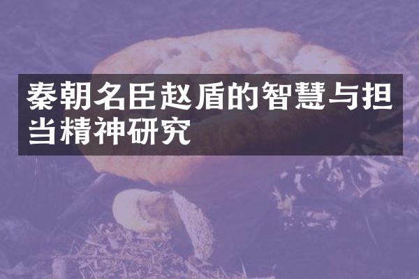 秦朝名臣赵盾的智慧与担当精神研究