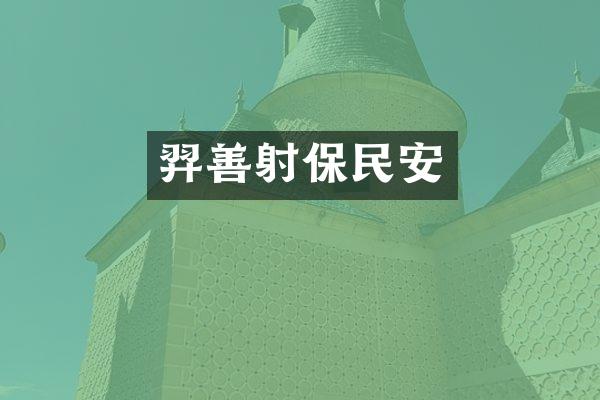 羿善射保民安