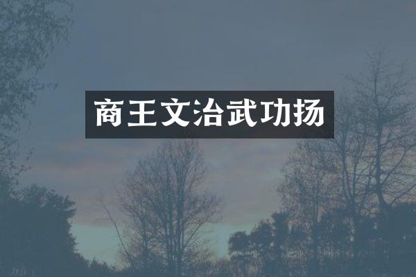 商王文治武功扬