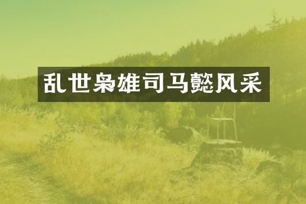 乱世枭雄司马懿风采
