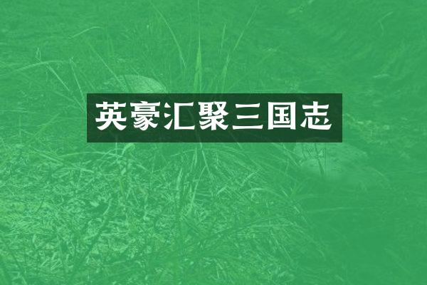 英豪汇聚三国志