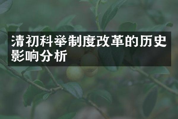 清初科举制度改革的历史影响分析