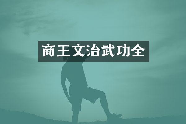 商王文治武功全