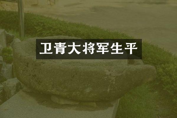 卫青大将军生平