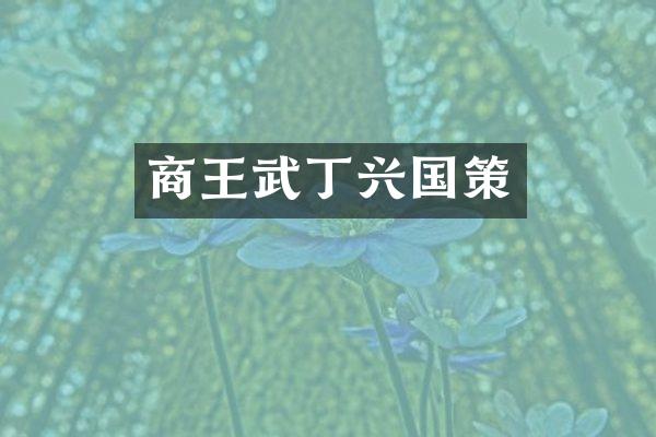 商王武丁兴国策