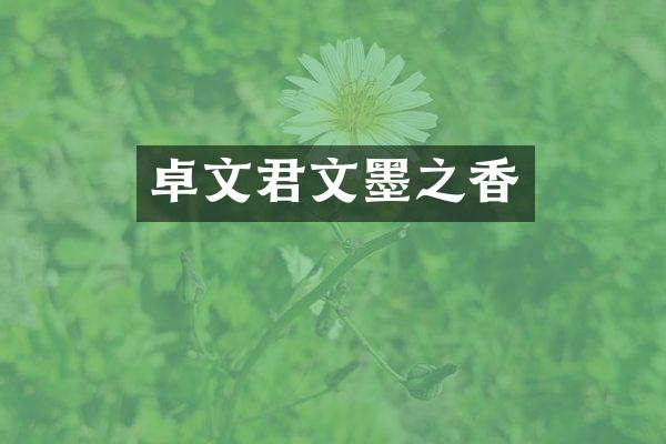 卓文君文墨之香