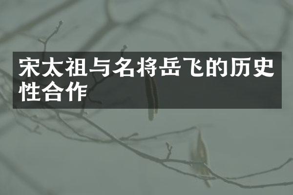 宋太祖与名将岳飞的历史性合作