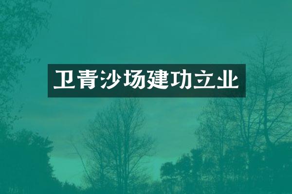 卫青沙场建功立业