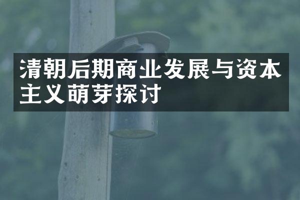 清朝后期商业发展与资本主义萌芽探讨