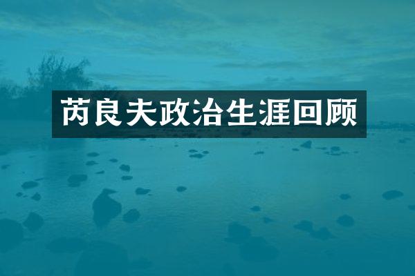芮良夫政治生涯回顾