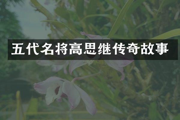 五代名将高思继传奇故事