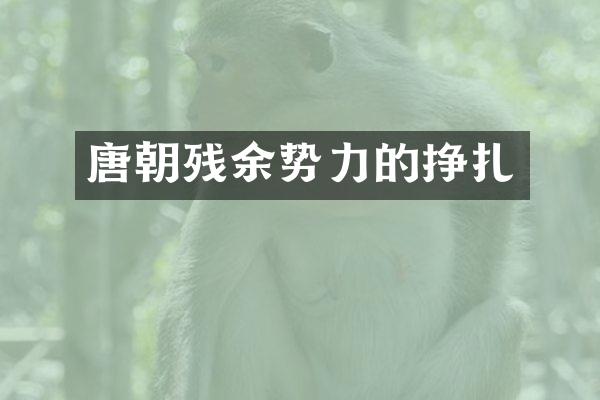 唐朝残余势力的挣扎