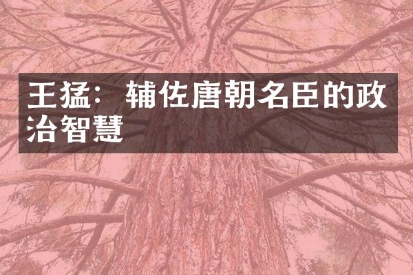 王猛：辅佐唐朝名臣的政治智慧