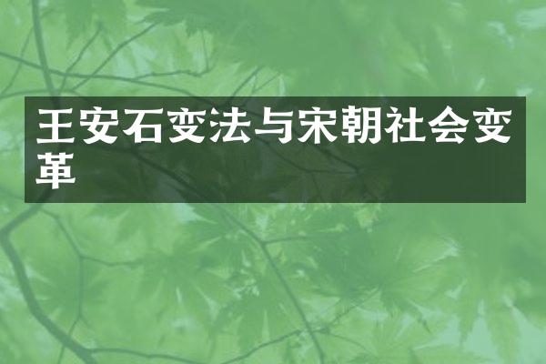 王安石变法与宋朝社会变革