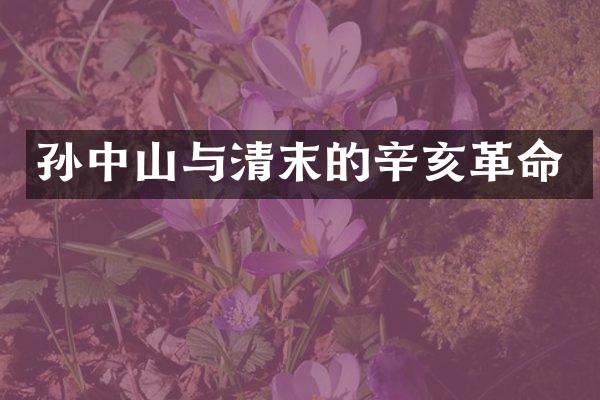 孙中山与清末的辛亥革命