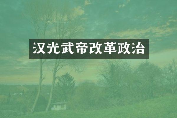 汉光武帝改革政治