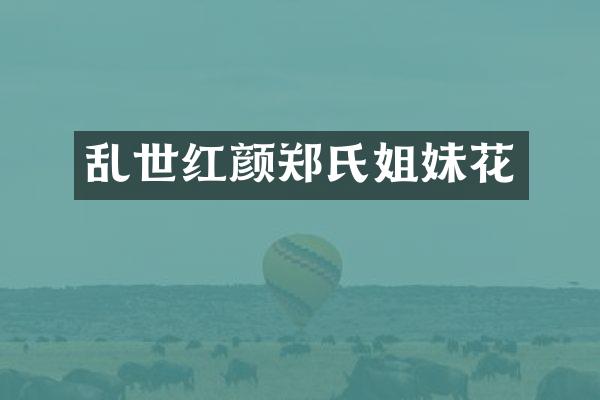 乱世红颜郑氏姐妹花