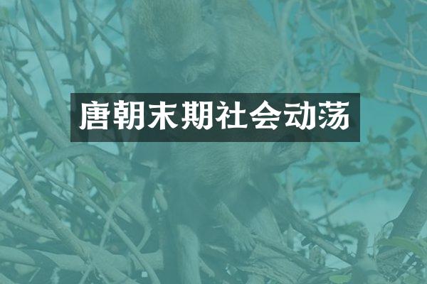 唐朝末期社会动荡