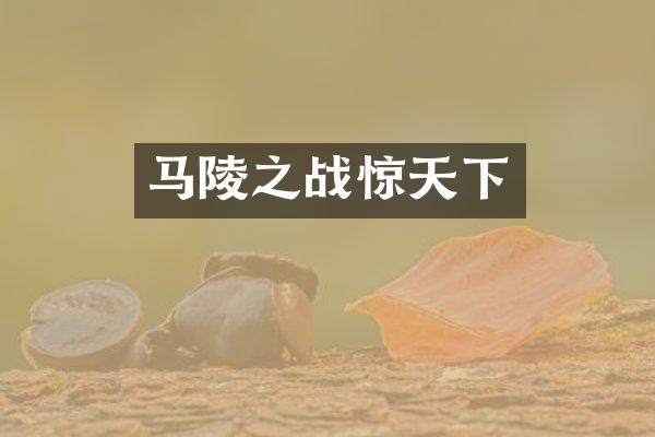 马陵之战惊天下