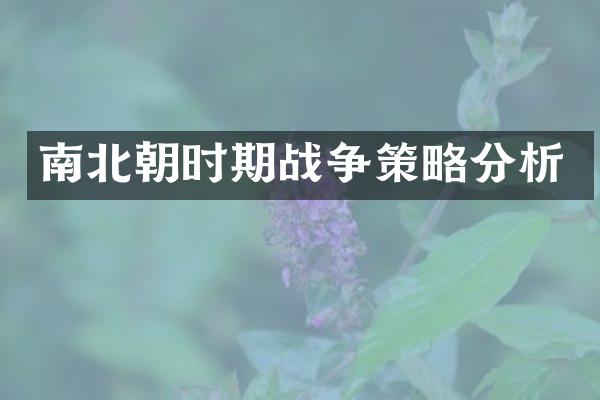 南北朝时期战争策略分析