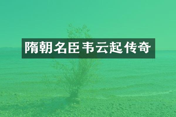 隋朝名臣韦云起传奇