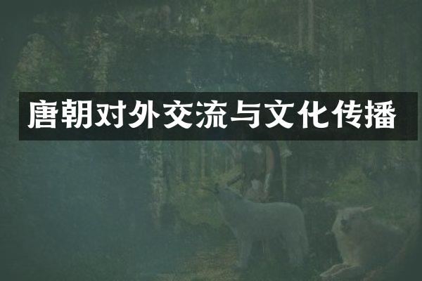 唐朝对外交流与文化传播