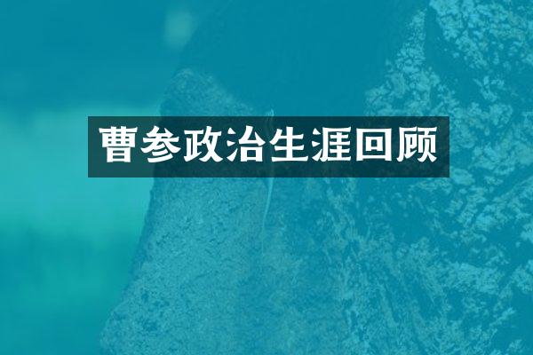 曹参政治生涯回顾