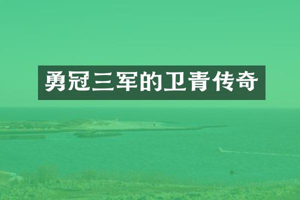 勇冠三军的卫青传奇