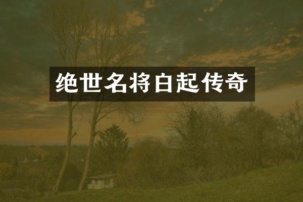 绝世名将白起传奇