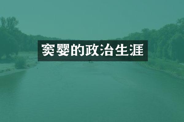 窦婴的政治生涯