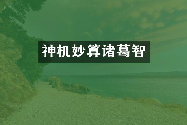 神机妙算诸葛智