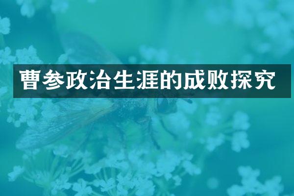 曹参政治生涯的成败探究