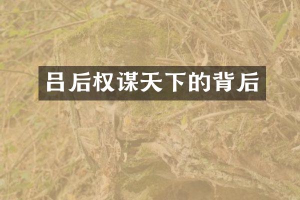 吕后权谋天下的背后