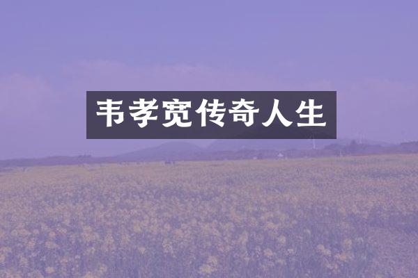 韦孝宽传奇人生