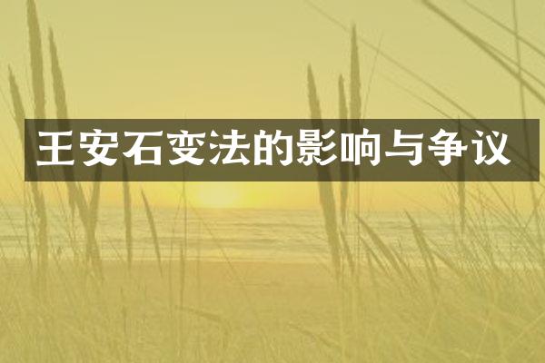 王安石变法的影响与争议