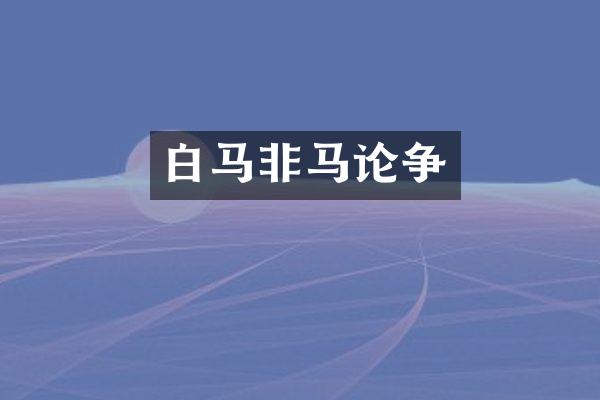 白马非马论争