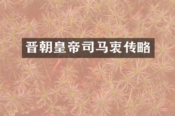 晋朝皇帝司马衷传略