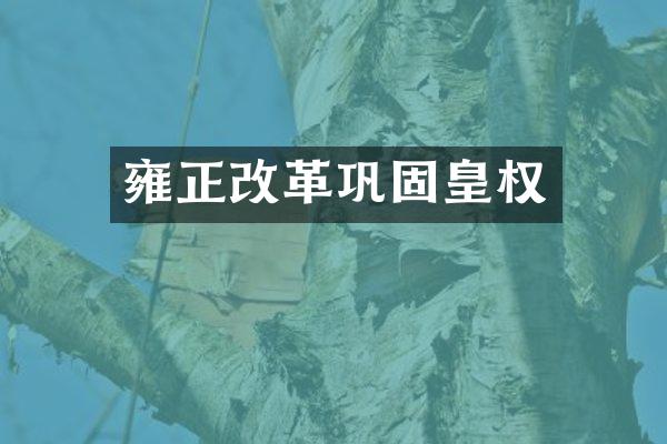 雍正改革巩固皇权