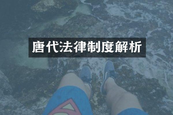唐代法律制度解析