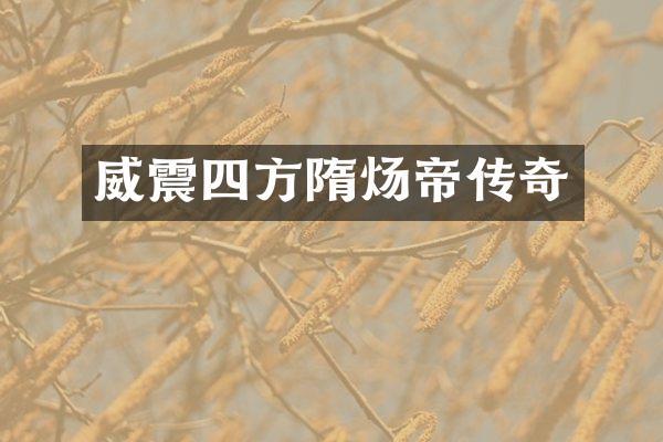 威震四方隋炀帝传奇
