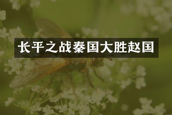 长平之战秦国大胜赵国