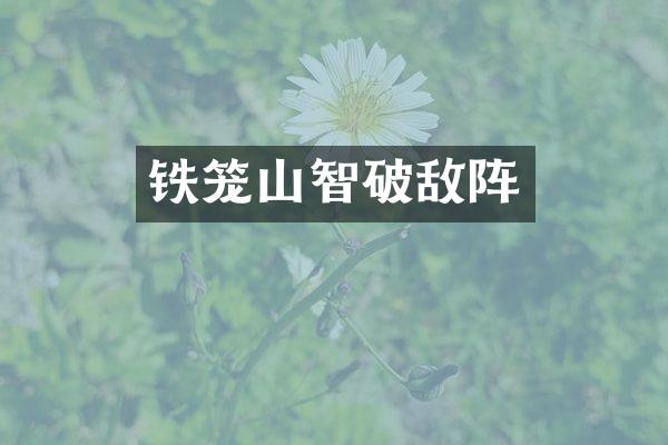 铁笼山智破敌阵