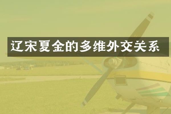 辽宋夏金的多维外交关系