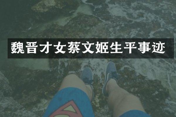 魏晋才女蔡文姬生平事迹